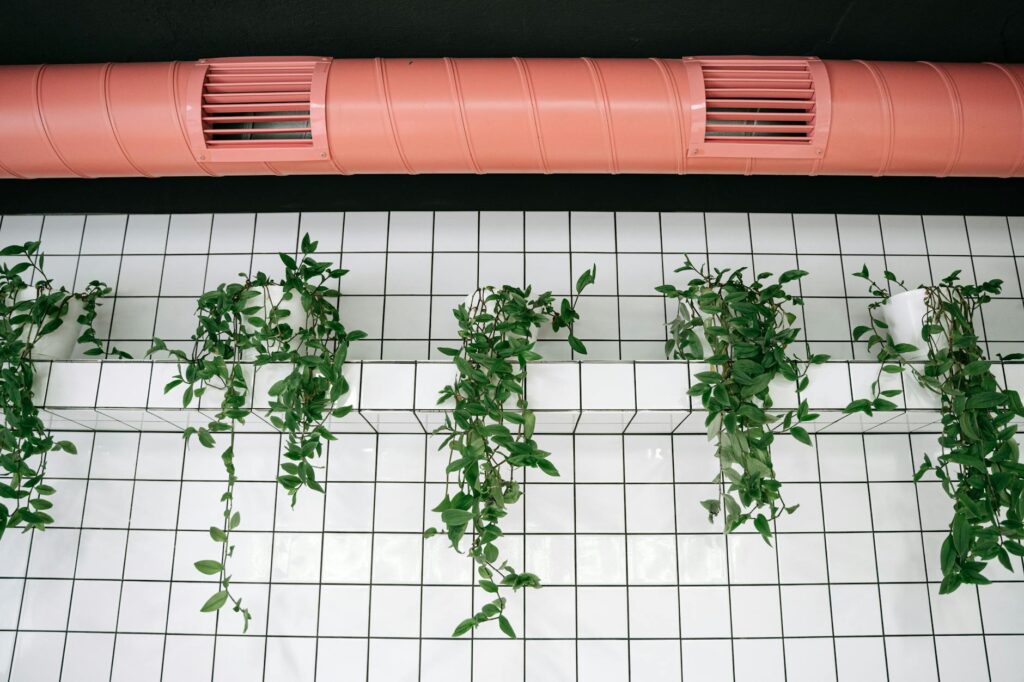 Einzigartige Indoor-Gärten: Die Natur ins Haus bringen