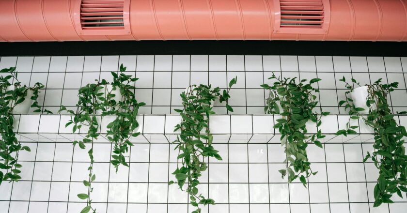 Einzigartige Indoor-Gärten: Die Natur ins Haus bringen