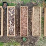 Hochbeet im Garten planen und bauen: Maße, Materialien, Füllung, Bewässerung und Kosten